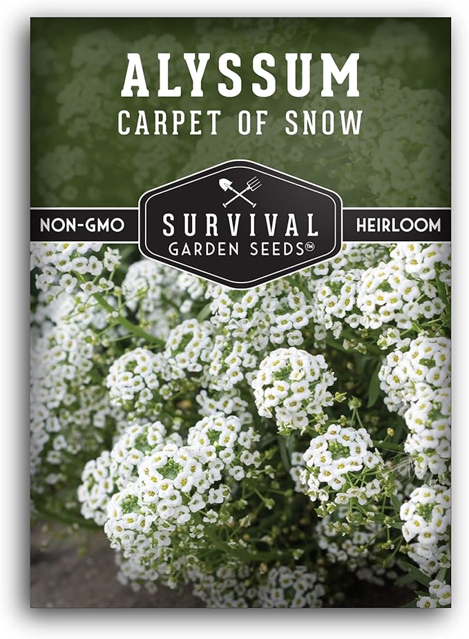 1 Pack Carpet of Snow Alyssum Seed for Planting with Instructions to Grow Lobularia Maritima in Your Home Flower or Vegetable Garden - Non-GMO Heirloom Lobularia Seeds - Survival Garden Seeds