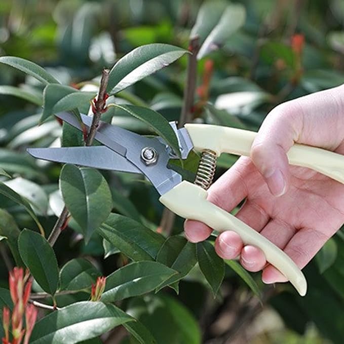 garden scissors, pruning shears for gardening, lightweight plant clippers, for hedge, bonsai, floral, small stem, orchard and vegetable, 1 pack