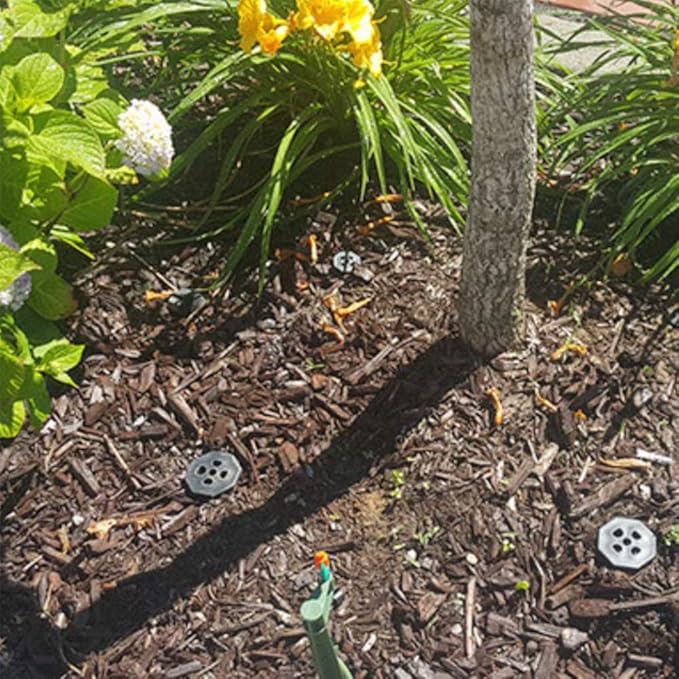 Tree Watering Stake Large for Trees, Bushes, shrubs, Irrigation Stake 8 inches (3)