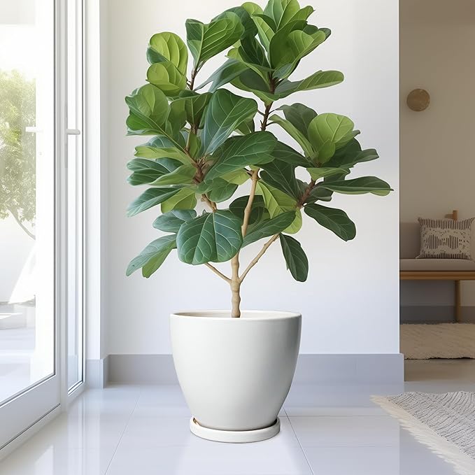 Ceramic Planter - 10 Inch Plant Pot with Drainage Hole and Tray, Flower Pot Planters for Indoor Plants, Modern Room Garden Patio Bathroom Living Room Porch Home Decor， White