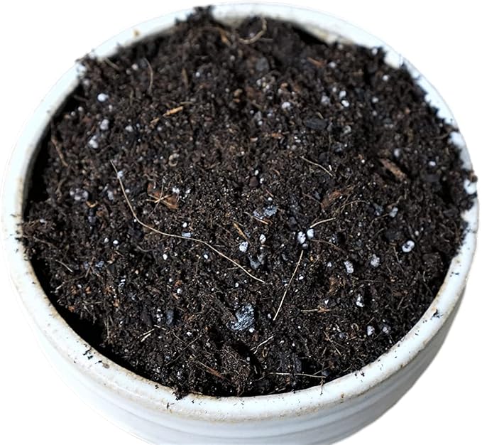 Liqui-Dirt Natural Potting Soil Bio-Organic Mix for Indoor & Outdoor Plants - Ideal for Monstera, Succulents, Orchids, Cactus, and More