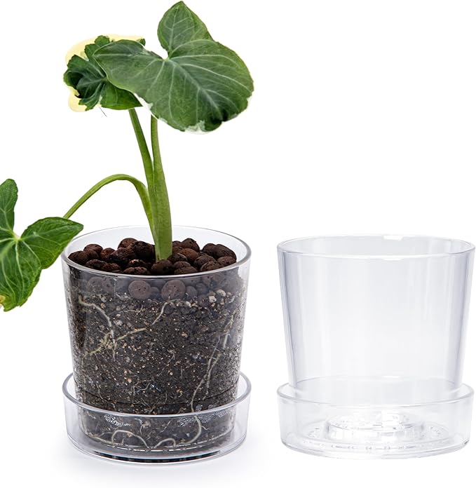 Phoenix Vine 4.5 Inch Clear Acrylic Planter Pot with Tray, Orchid Pot with Drainage Holes, Deep Saucer for Bottom Watering, Transparent Containers for Indoor Plants, Herbs, Set of 2, 91-A-E-2