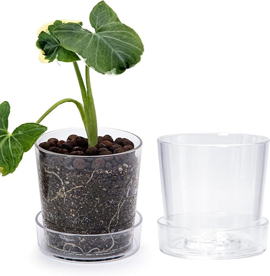 Phoenix Vine 4.5 Inch Clear Acrylic Planter Pot with Tray, Orchid Pot with Drainage Holes, Deep Saucer for Bottom Watering, Transparent Containers for Indoor Plants, Herbs, Set of 2, 91-A-E-2
