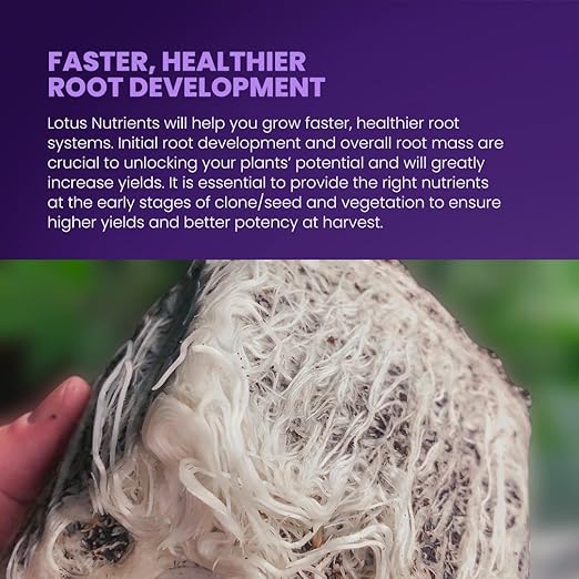 72oz Carboflush - Harvest Flavor Enhancer, Finisher, Cleanser – Naturally Derived Premium Powdered Nutrient – Harvest Enhancing Fertilizer for Soil, Hydroponic, and Coco Coir - Indoor and Outdoor