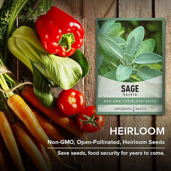 Gardeners Basics, Sage Seeds for Planting Heirloom, Non-GMO Herb Variety- Great for Indoor and Outdoor Gardening