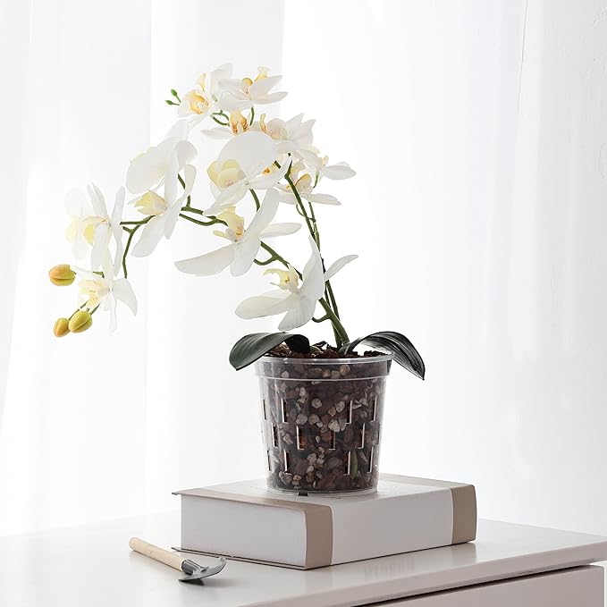 TRUEDAYS Orchid Pot - 6 Pack 4 Inch Clear Plastic Orchid Plant Pots with Drainage Holes for Indoor Outdoor Live Plants for Repotting