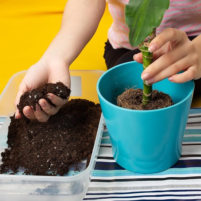 Premium Lucky bamboo Soil Mix 10qt, Indoor Plants Potting Mix for All Potted Luncky bamboo, Promote Healthy Growth and Longevity
