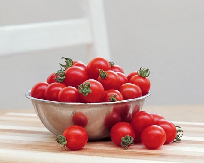 Burpee 'Sun Gold' & 'Super Sweet 100' Hybrid Cherry Tomato Seeds, 30 & 50 Non-GMO