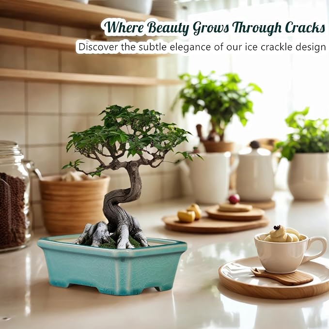 FFPOPU 3-Packs Ceramic Bonsai Pots with Drainage Tray, 6-inch Cute Bonsai Tree Pot with Ice Cracked Glaze, Small Bonsai Planter Pot for Desktop Decoration