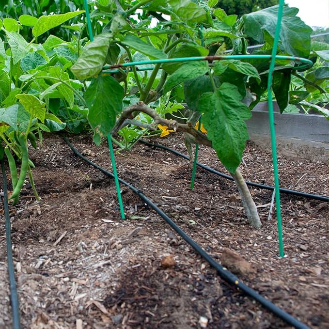 DIG ML-506, 500', ¼” MICROLINE Dripline - 6” Spacing, Color Black – UV Protected Drip Line