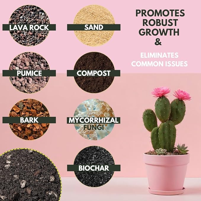 Soil Sage Cactus Soil 5Qt Premium High-Drainage Cactus & Succulent Potting Mix with Mycorrhizae Fungi - Meticulously Mixed by Hand, Ready to Use - Made in U.S.A.