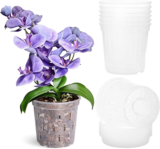 TRUEDAYS 6 Pack Orchid Pot with Saucers, 6 Inch Clear Orchid Pots with Holes, Plastic Planter with Trays, Breathable Slotted Orchids Planters for Indoor Outdoor Plants