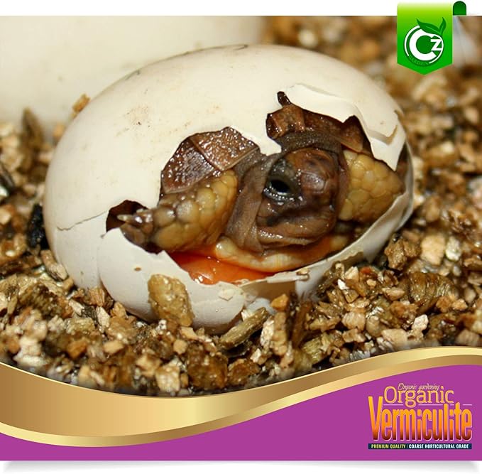 Coarse Vermiculite - Made in USA for All Indoor/Outdoor Plants & Flower Gardens - Horticultural Soil Amendment Additive Conditioner Grow Media for Hydroponics, Mushroom Cultivation and more!