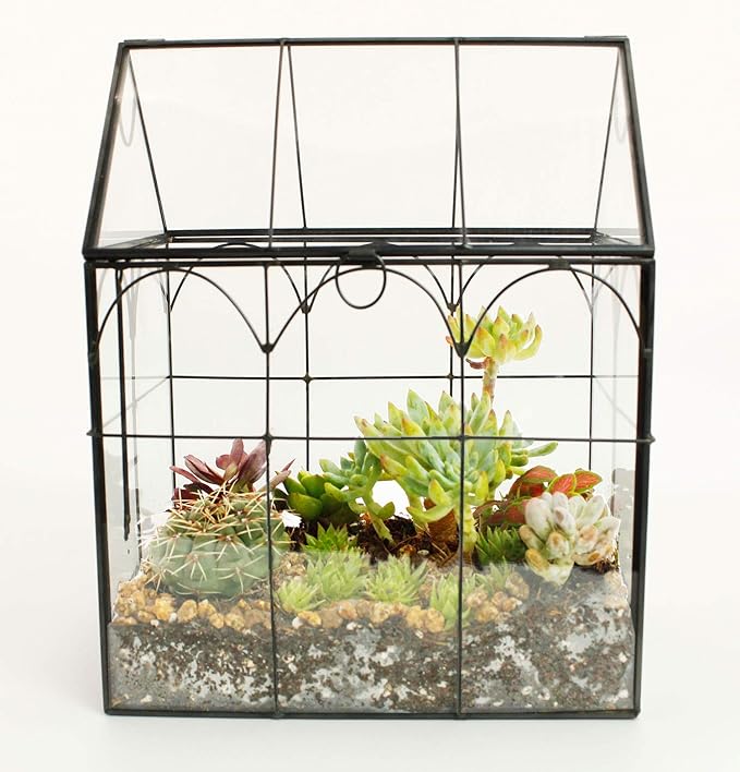Glass Geometric Plant Terrarium,Succulent & Air Planter for Home Garden Office Decoration (Black House)