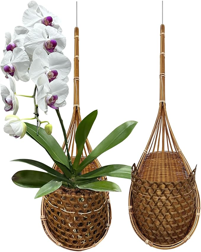 Handmade 100% Thai Bamboo Super Sanctuary Hanging Orchid Basket - 6 Inch Set of 2