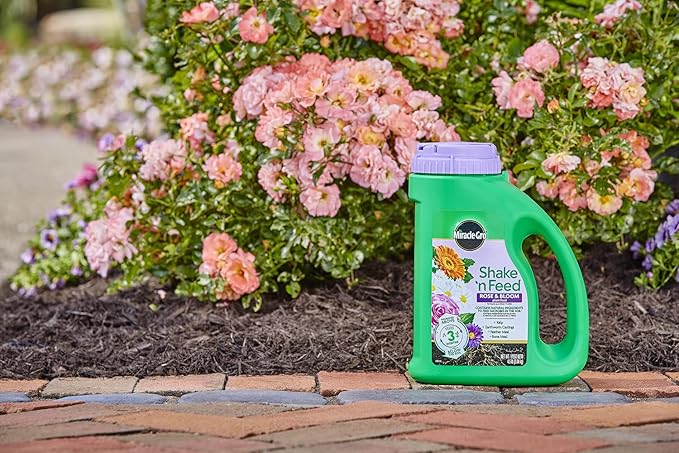 Miracle-Gro Shake 'N Feed Rose & Bloom Plant Food, Plant Fertilizer, 4.5 lbs. (6-Pack)