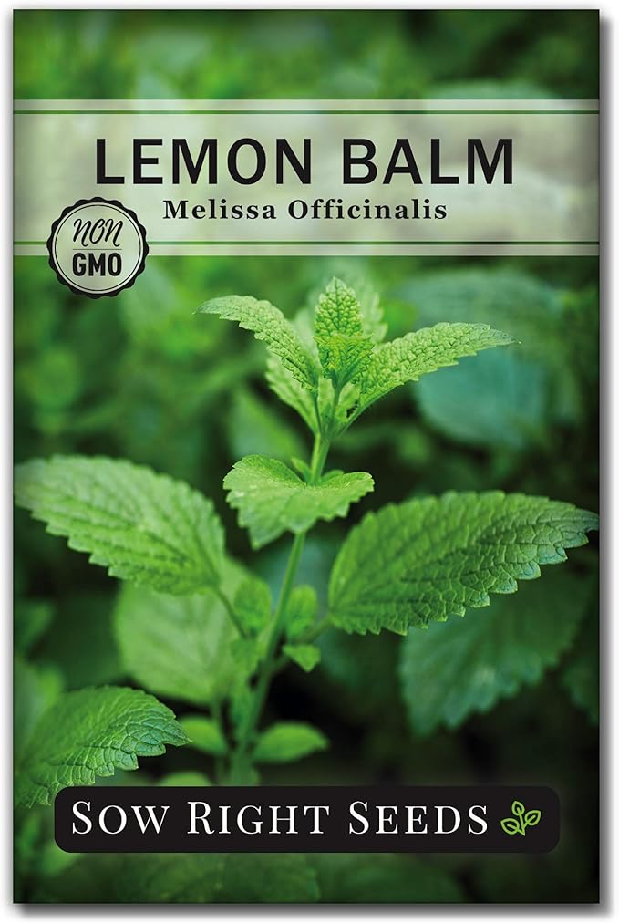 Sow Right Seeds - Lemon Balm Seeds for Planting - Non-GMO Heirloom Packet with Instructions - Easy to Grow Herb Garden - Aromatic Herb and Great for Herbal Teas - Perennial Mint Relative (1)