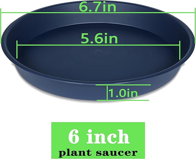 6 Pack of 6 inch Plant Saucer Drainage Tray, 4 5 7 8 10 12 13 15 17 19 inch Plastic Plant Water Tray, Flower Saucers for Indoors, Plant Dishes for Pots Base (6 inch, Blue)