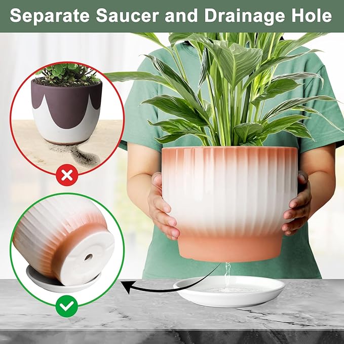 8 Inch Plant Pot, Ceramic Planter with Drainage and Saucer, Ceramic Pots for Plants, Indoor Plant pots,Ceramic Flower pots(Orange+ White, Plants NOT Included)