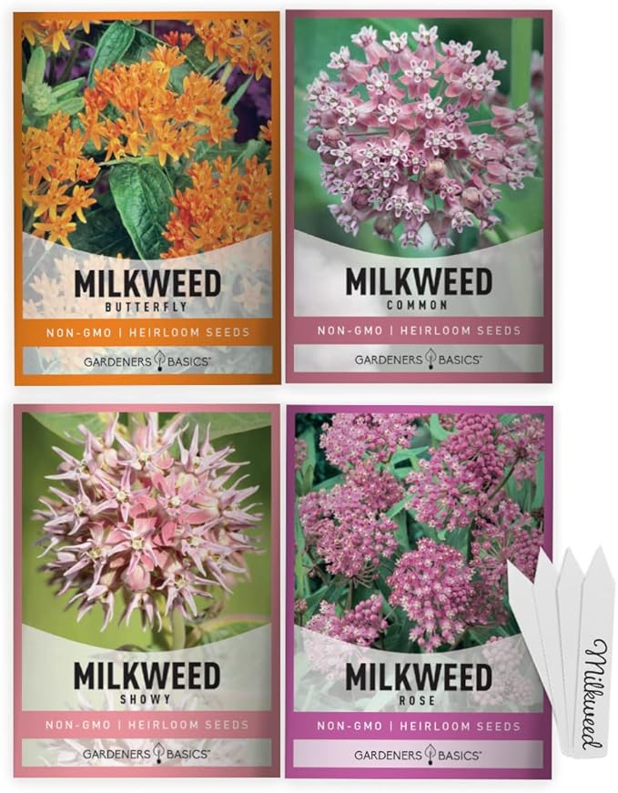 Gardeners Basics, Milkweed Seeds for Monarch Butterflies (4 Variety Pack) Common, Showy, Butterfly and Rose Varieties Attracts Butterflies, Bees and Pollinators Heirloom Flower Seeds Wildflower Seed