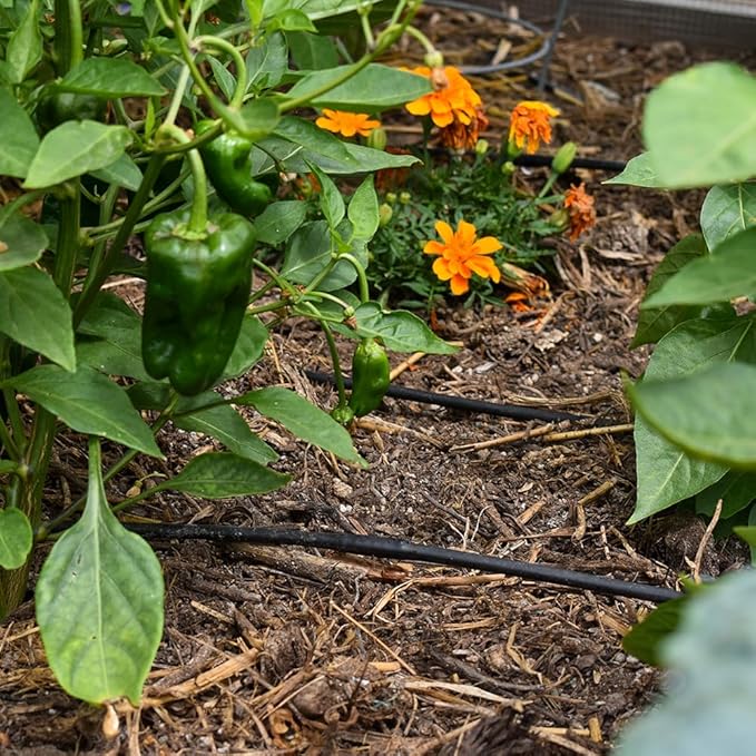 DIG ML-506, 500', ¼” MICROLINE Dripline - 6” Spacing, Color Black – UV Protected Drip Line