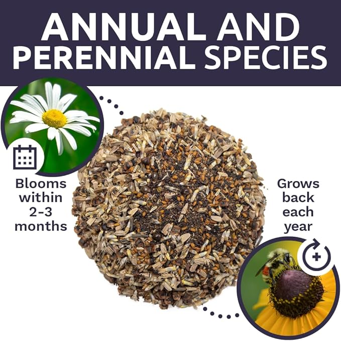 Northeast Wildflower Seeds - Bulk 1/4 Pound Bag - Over 30,000 Native Seeds - Open Pollinated and Non GMO Varieties for New York, Virginia, Pennsylvania, Maine and More!