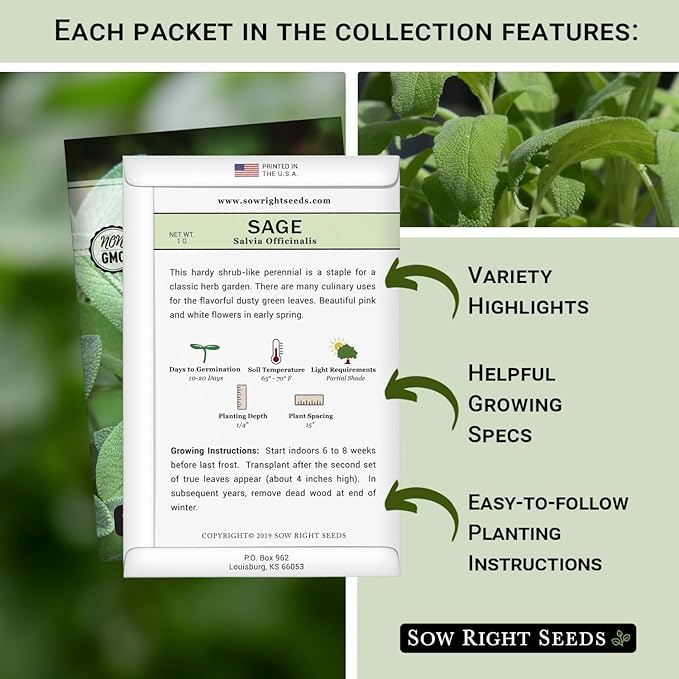 Sow Right Seeds - Sage Seed Collection - Salvia Seeds for Planting Indoors & Outdoors - Non-GMO Heirloom Common, White & Blue Varieties - Grow Aromatic Herb Garden - Perfect for Herbal or Culinary Use