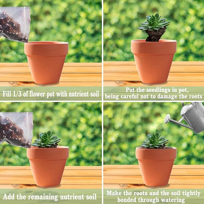 Halatool 10 QT Organic Aloe Plant Soil Potting Mix Garden Top Succulent Soil for Indoor & Outdoor Plants Bonsai Cactus Soil Potting Mix for Houseplants Flowers Vegetables & Herbs