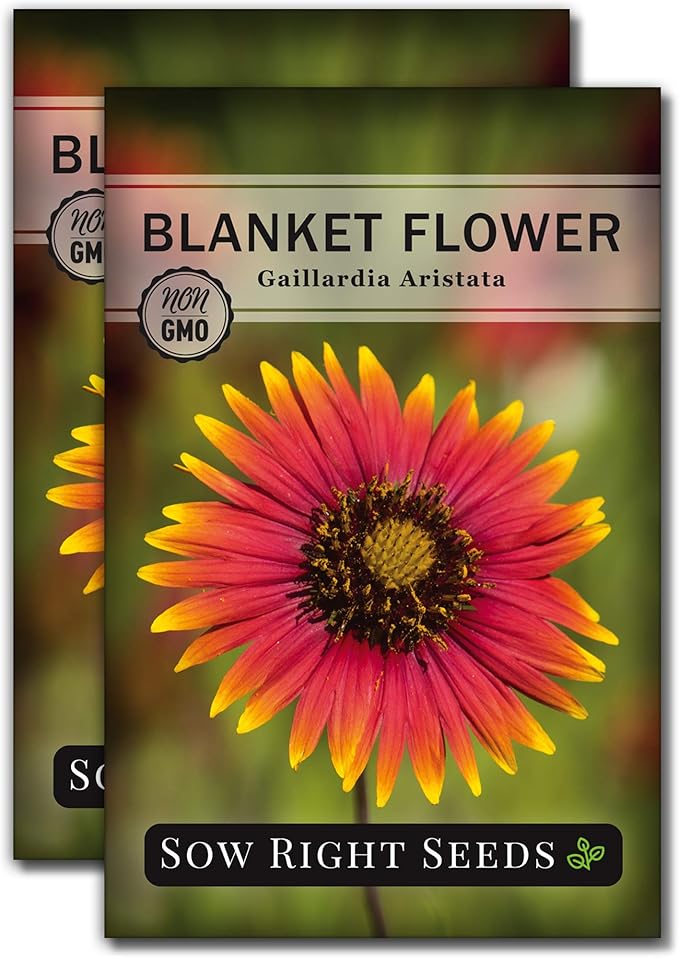 Sow Right Seeds - Blanket Flower Seeds for Planting - Non-GMO Heirloom Seeds Packet with Instructions to Plant Your Garden - Perennial Indian Gaillardia - Grow Native Gardens, Add a Color Bonanza (2)