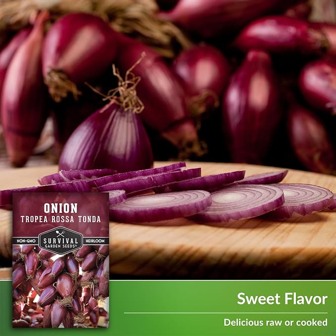 Tropea Rossa Tonda Onion Seeds for Planting - 3 Packets with Instructions to Plant and Grow Italian Long Day Onions in Your Home Vegetable Garden - Non-GMO Heirloom Variety - Survival Garden Seeds
