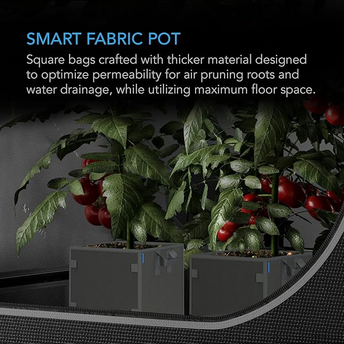 AC Infinity Square Heavy Duty Fabric Pots, 5 Gallon Aeration Reusable Grow Bags 5-Pack with 500G Thick Nonwoven Fabric and Plant Stake Loops, for Garden Growing Fruits, Vegetables, and Flowers