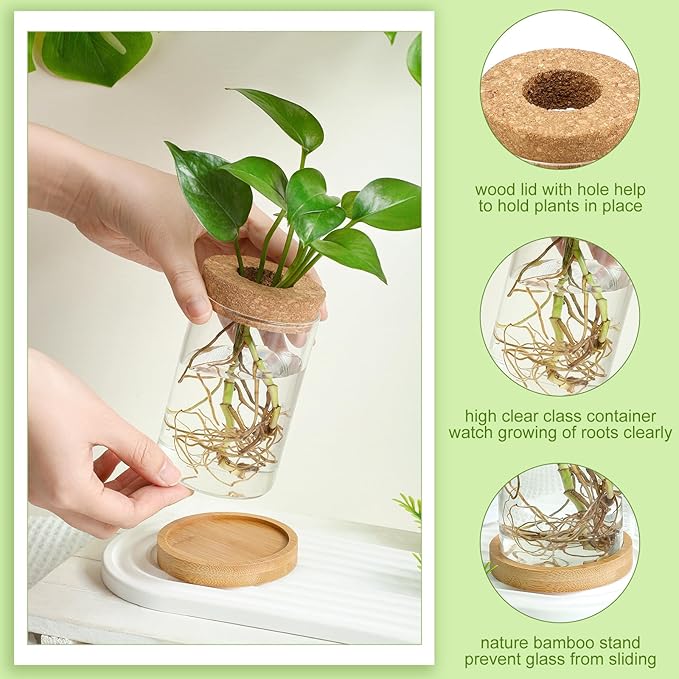 Layhit 4 Pcs Plants Propagation Stations Separated Desktop Plant Terrarium Glass Planter Vase with Wooden Lid and Bamboo Stand for Growing Hydroponic Home Office Tabletop Decoration (Novelty Style)
