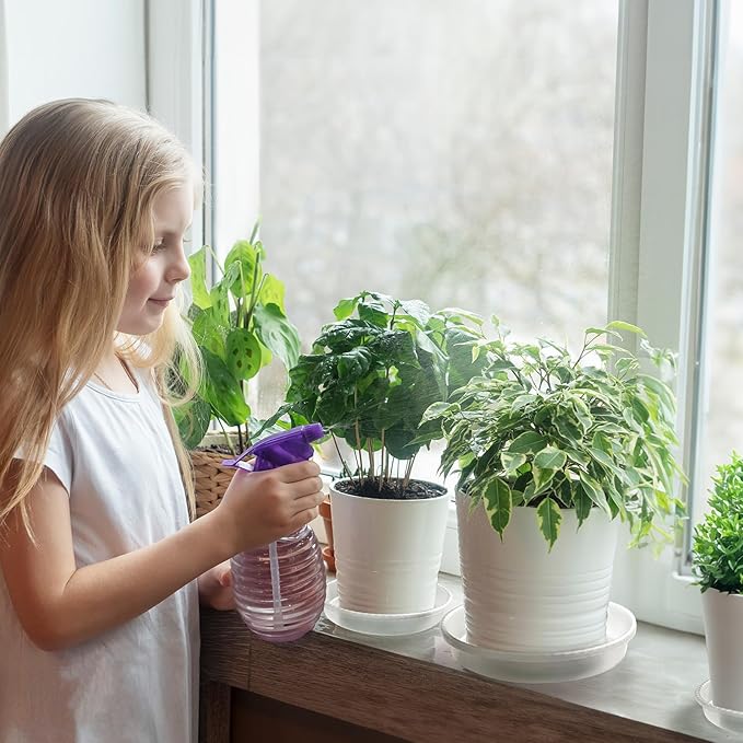 MUDEELA Plant Saucer 6 Pack of 12 inch, Durable Plastic Plant Trays for Indoors, Clear Plastic Flower Plant Pot Saucer, Made of Thicker, Stronger Plastic, with Taller Design