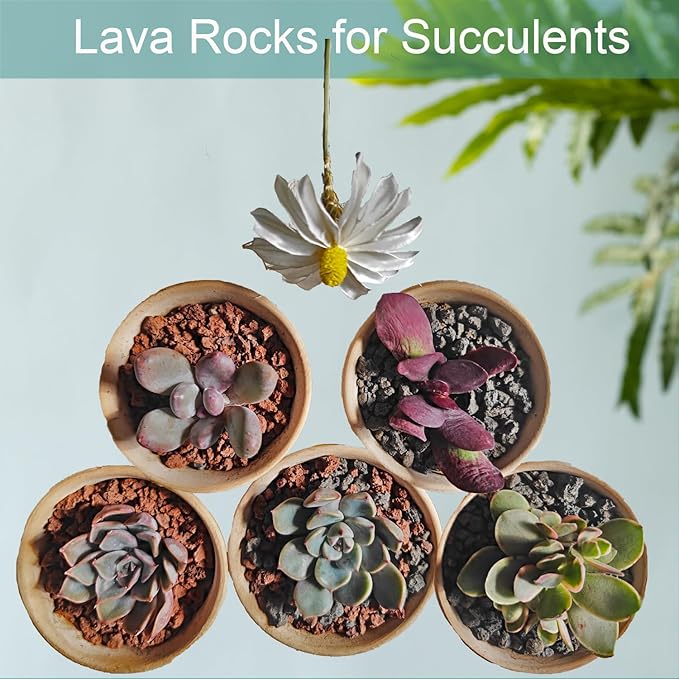 Lava Rocks for Plants, 2lbs Volcanic Stones Gravel Horticultural Drainage Potting Soil for Indoor Outdoor Plants, Succulents, Bonsai, Cactus, Vase Fillers, Top Dressing (2LBS, Black, 1)