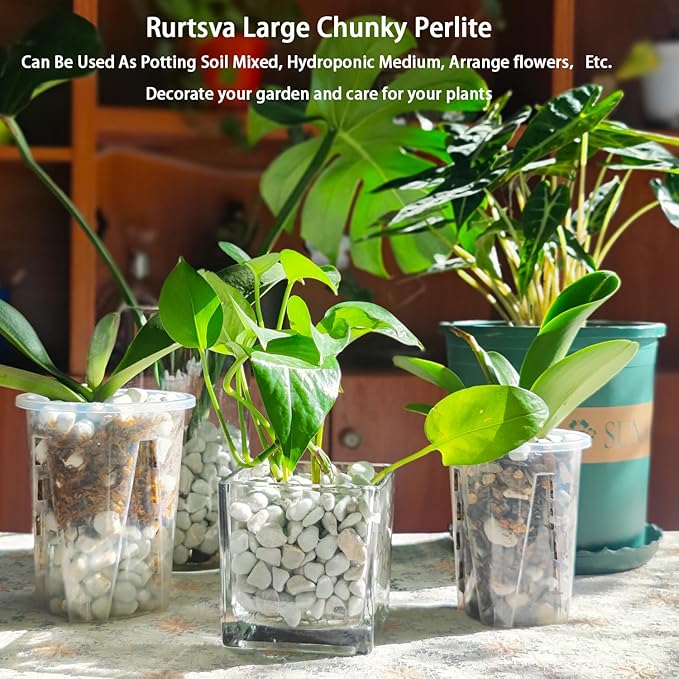 Natural 1-2CM Hard Chunky Perlite 2QT for Plants Horticultural Coarse Organic Pearlite Bulk Potting Mix Garden Soil Amendment for Enhanced Drainage and Ventilation for Orchid, Dendrobium, Araceae