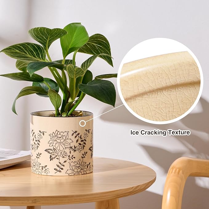 Indoor Ceramic Plant Pots with Drainage Holes 5 Inch Cute Succulent Flower Pots Small Orchid Planter Pots for Indoor Plants Garden Pots, Peony