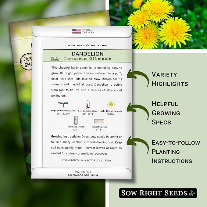 Sow Right Seeds - Common Dandelion Seeds for Planting - Non-GMO Heirloom Packet with Instructions to Grow an Outdoor or Indoor Herb Garden - Herbal Teas & Medicinal Uses - Great for Wildlife (2)