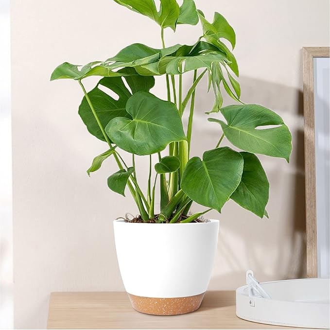 GARDIFE Plant Pots Set of 2 Pack 8 inch,Planters for Indoor Plants with Drainage Holes, Modern Decorative Flower Pots for All House Plants, Flowers, White