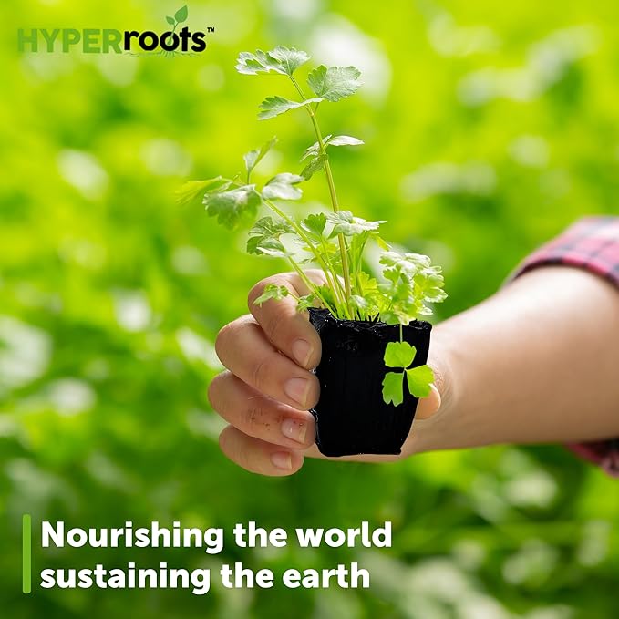 Compostable Seed Starter Plugs - Sustainable Seed Pods Made from Plant-Based Sugars - Outperforms Peat, Coir, Rock Wool for Hydroponics, Indoor, or Outdoor Gardening (1.5" x 1.5", 50ct)