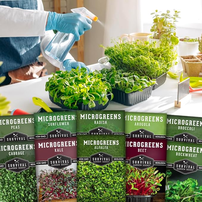 Survival Garden Seeds Microgreens 10 Pack (Seeds Only) - Instructions to Plant and Grow a Mix of Microgreen Plants - Arugula, Broccoli, Radish, Pea, Sunflower, Alfalfa, Cabbage, Buckwheat, Kale, Beet