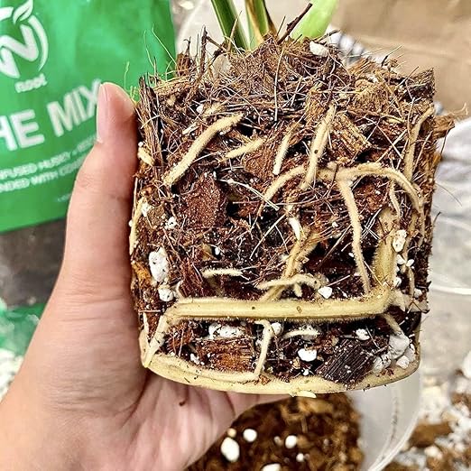 Noot Potting Soil Mix for Indoor & House Plants – 1 Gallon – Orchid, Succulent, Cactus, Aroid, Houseplant, Monstera – Bio-Organic – Fast Draining – Rapid Root Growth – Pre-Soaked & Ready to Use