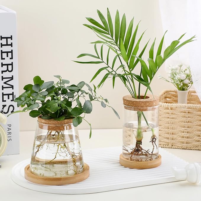 Layhit 4 Pcs Plants Propagation Stations Separated Desktop Plant Terrarium Glass Planter Vase with Wooden Lid and Bamboo Stand for Growing Hydroponic Home Office Tabletop Decoration (Stylish Style)