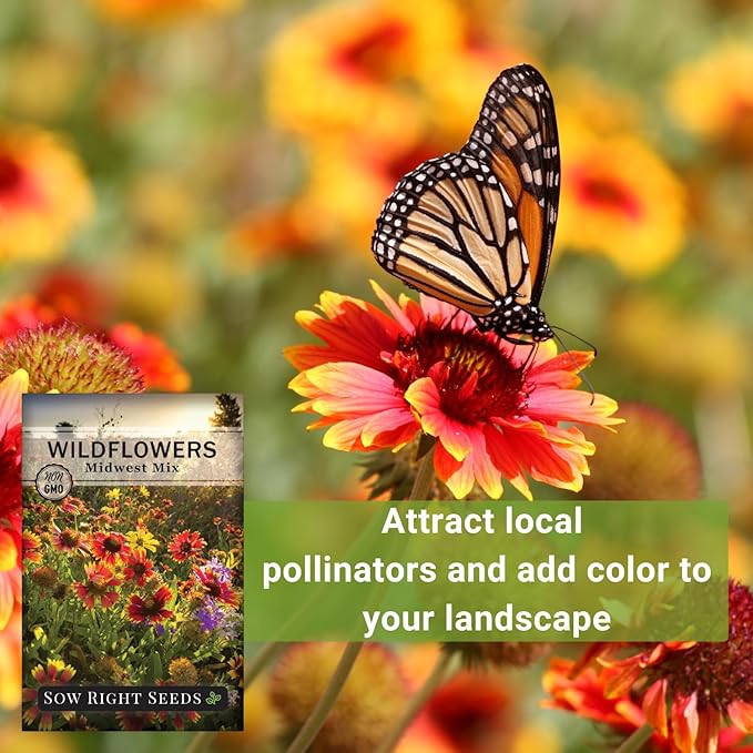 Sow Right Seeds - Wildflowers Seeds Mix for Planting in Midwest - Non-GMO Heirloom Varieties to Grow a Wild Flower Garden - Perennial and Annual Flowers to Attract Pollinators - Colorful Blooms (1)