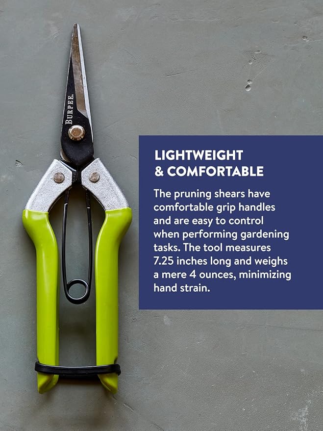 Burpee CR725 Garden Pruning Shears - Garden Hand Tools - Lightweight Precise Pruners for Gardening - Great for Flower Trimming or Vegetable Harvesting - Gardener Gifts
