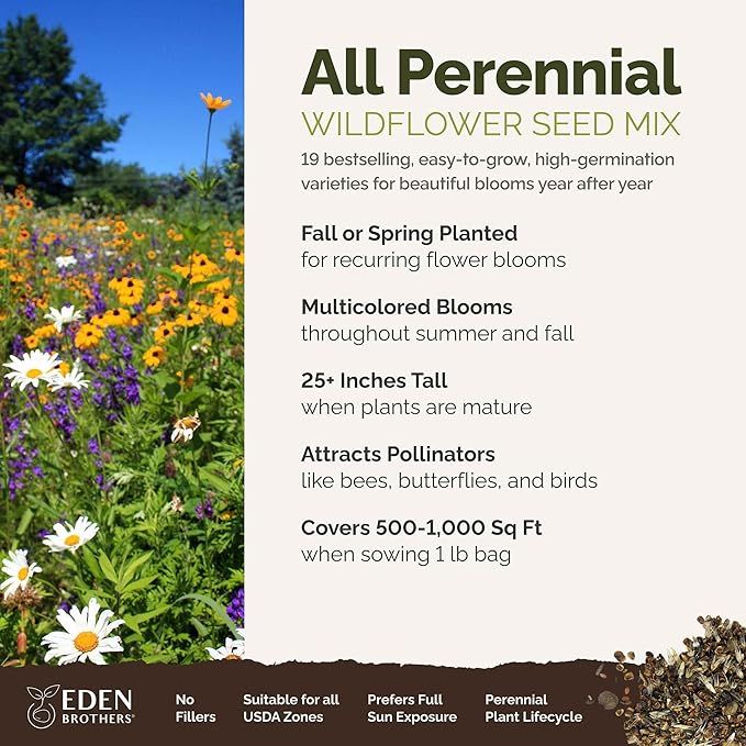 Eden Brothers All Perennial Wildflower Mixed Seeds for Planting, 1 lb, 480,000+ Seeds with Lupine, Shasta Daisy | Attracts Pollinators, Plant in Spring or Fall, Zones 3, 4, 5, 6, 7, 8, 9, 10