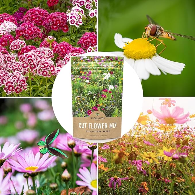 Cut Flower Garden Seeds - Bulk 1/4 Pound Bag - Over 30,000 Fresh Open Pollinated Non-GMO Wildflower Seeds - Long Lasting Annuals and Perennials with Bright Colors