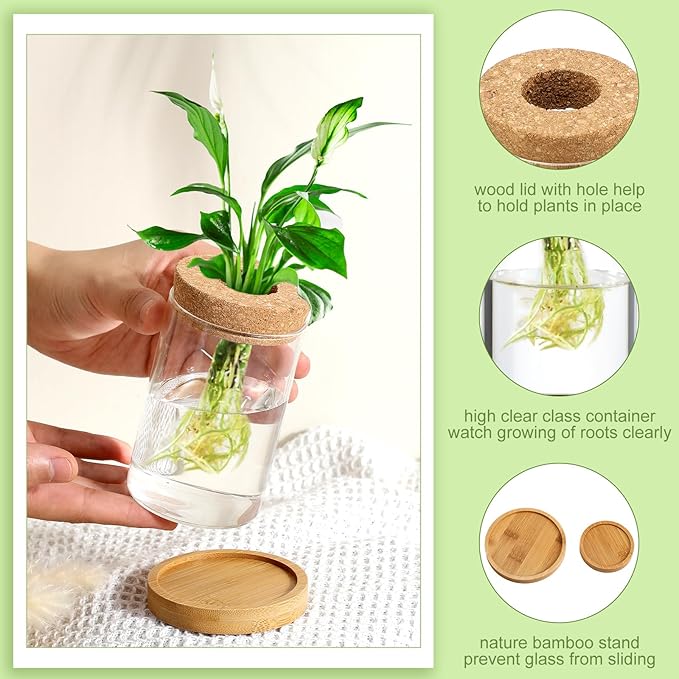 Layhit 4 Pcs Plants Propagation Stations Separated Desktop Plant Terrarium Glass Planter Vase with Wooden Lid and Bamboo Stand for Growing Hydroponic Home Office Tabletop Decoration (Classic Style)