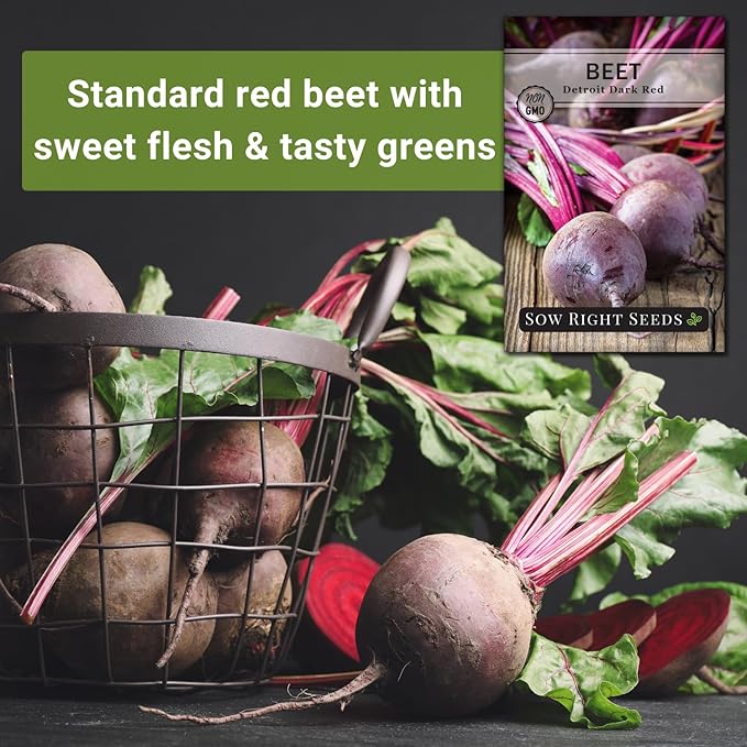 Sow Right Seeds - Detroit Dark Red Beet Seeds for Planting - Non-GMO Heirloom Packet with Instructions to Plant & Grow an Outdoor Home Vegetable Garden - Nutritious, Cold Hardy, and Productive (3)