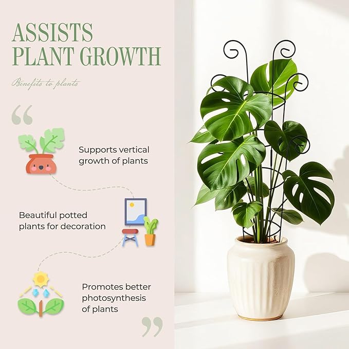 4 Pack 30 Inch Tall Metal Plant Trellis for Climbing Plants Indoor - Rustproof Garden Trellis for Potted Houseplants, Sturdy Support for Ivy, Pothos, Monstera, Hoya & Flower Vines