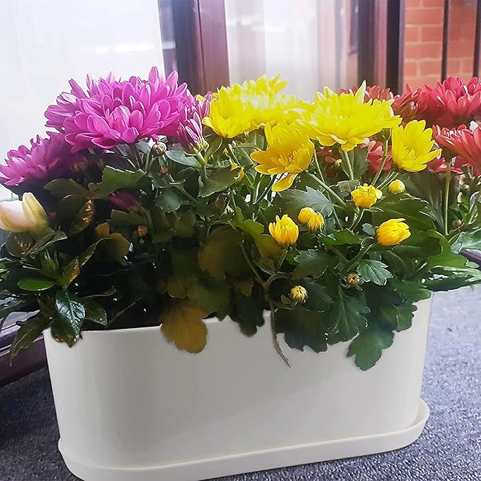 20 Set Window Herb Planter Box Rectangular,8.5x3.5 Inch White Plastic Planters with Multiple Drainage Holes and Trays,Indoor Succulent Cactus Mint Flower Pot for Windowsill,Garden Balcony